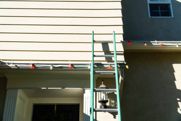 Best Hoarding Cleanup  in Massac, KY