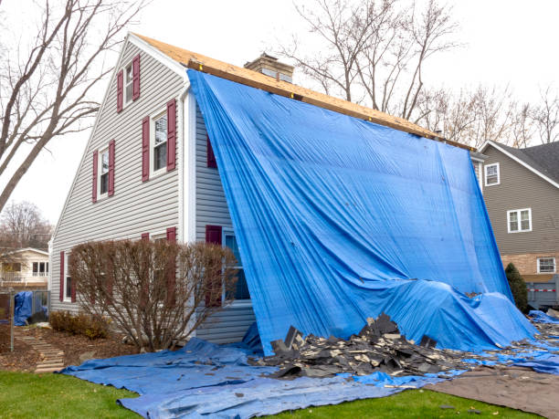 Professional Junk Removal in Massac, KY